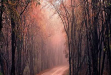 [NBA]唐斯晃飞格林 杀入篮下双手暴扣.