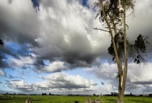 问鼎娱乐:杜兰特42+6+8米切尔低迷仅7分 太阳擒骑士3连胜.