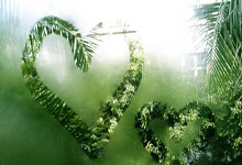 问鼎娱乐：官方：中国斯诺克球手田鹏飞被增选为WPBSA球员.