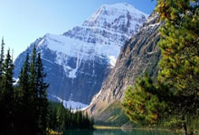 问鼎娱乐：体育总局公示：奥运冠军陈若琳拟调配体总游泳运动管理中心工作澎湃新闻.