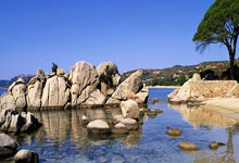 问鼎娱乐：楚阿梅尼：能和魔笛共处是种荣幸；很高兴姆巴佩能回归.